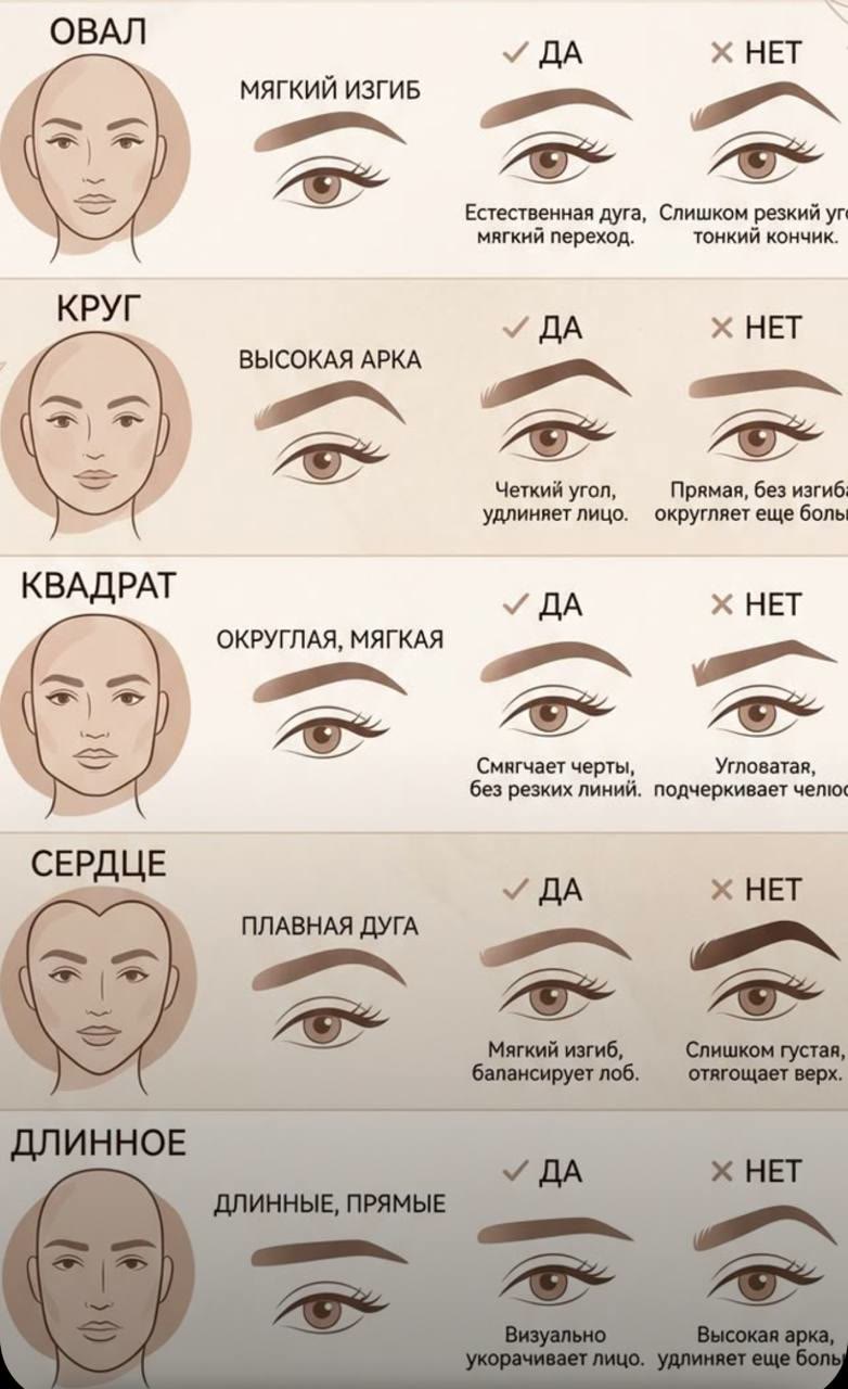 Схема формы бровей под пять типов лица: овал, круг, квадрат, сердце, вытянутое